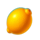 40 diamond tree lucky coin lemon symbol icon