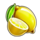 40 extra crown lemon symbol icon