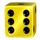 40 golden coins dice edition 6 symbol icon