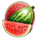 40 hot seven melon symbol icon