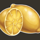 40 hot twist lemon symbol icon