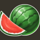 40 hot twist watermelon symbol icon