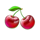 40 lucky wilds hot coin boost cherry symbol icon