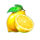 40 lucky wilds hot coin boost lemon symbol icon