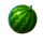40 money tree lucky coin watermelon symbol icon