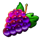 40 pixels grapes symbol icon