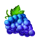 40 shining rainbow clover chance grape symbol icon
