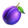 40 sparkling crown plum symbol icon