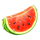 40 splendid sevens melon symbol icon