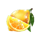 40 wild craze prizetower lemon symbol icon