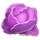 4 crazy cluckers cabbage symbol icon