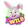 4 easter eggs pots wild symbol icon
