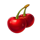 4 fairy flowers hold and win cherry symbol icon