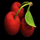 4 spin cherry symbol icon