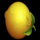 4 spin lemon symbol icon