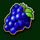 500 juicy fruits grape symbol icon