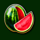 500 juicy fruits melon symbol icon
