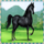 50 horses black horse symbol icon
