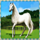 50 horses white horse symbol icon