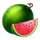 5 boost clover watermelon symbol icon