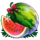 5 christmas fruits watermelon symbol icon