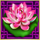 5 fortunes gold flower symbol icon