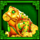 5 lions megaways 2 frog symbol icon