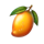 5 tropical fruits boost mango symbol icon