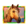 5 wild buffalo 3 horse symbol icon