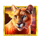 5 wild buffalo 3 lion symbol icon
