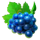 777 spooky hit blue grapes symbol icon