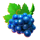 777 summer hit dice grape symbol icon