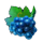 777 winter hit grapes symbol icon
