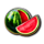 7 fruits melon symbol icon
