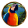 7 seas pirates parrot symbol icon