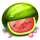 81 frutas grandes melon symbol icon