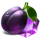 81 frutas grandes plum symbol icon