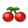 81 joker hot reels cherry symbol icon