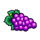 81 joker hot reels grapes symbol icon