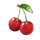 81 super wild fruits cherry symbol icon