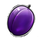81 super wild fruits plum symbol icon