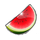81 super wild fruits watermelon symbol icon