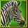 9 rhino fast fire zebra symbol icon