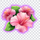 action boost tiki treasures flower 1 symbol icon