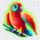action boost tiki treasures parrot symbol icon