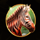 african fortune zebra symbol icon