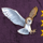 age of athena owl symbol icon