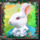 alice in wonderlands powerpoints bunny symbol icon