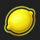 all lucky clovers lemon symbol icon