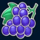 all ways fruits grapes symbol icon